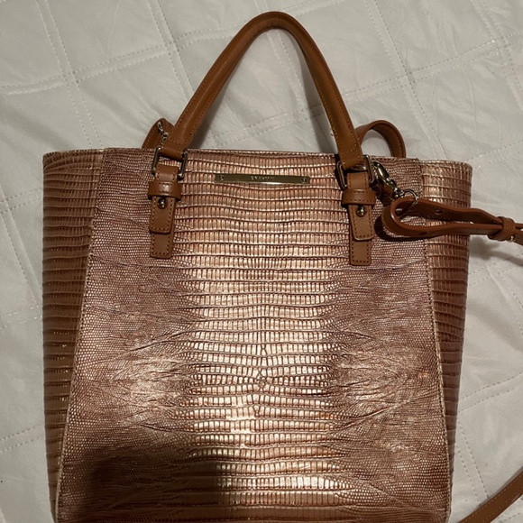 Brahmin - Picture 3 of 9